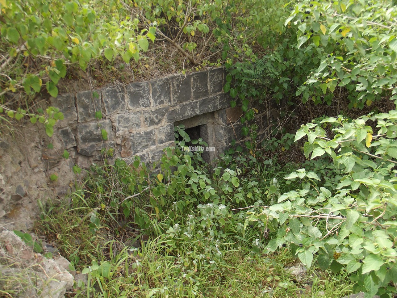 Dhotri Fort (Gadhi)